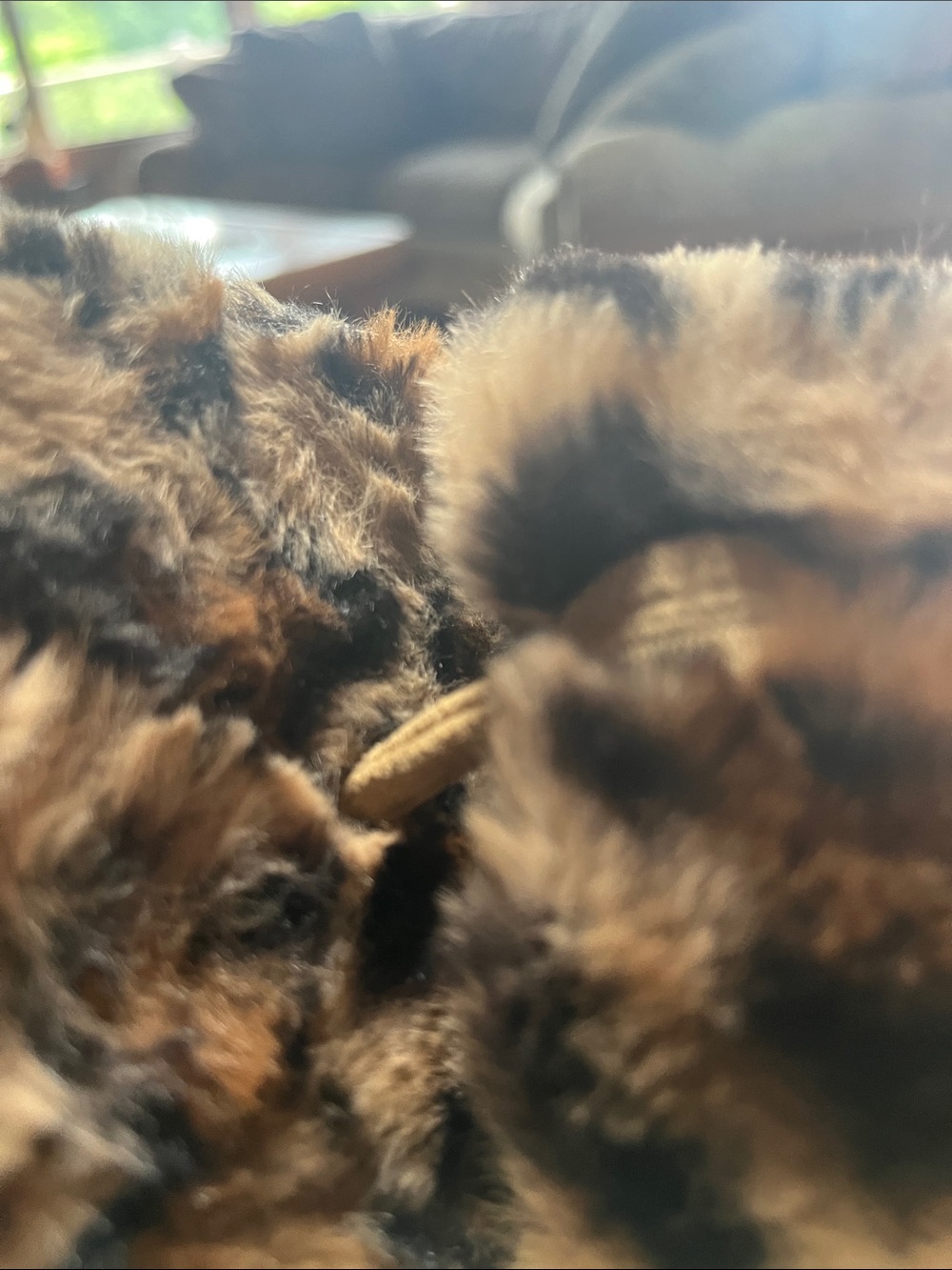 Journee Collection Dream Band Slippers - Picture 5 of 5